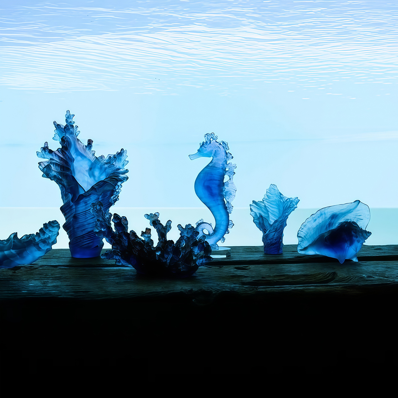 Daum Coral Sea