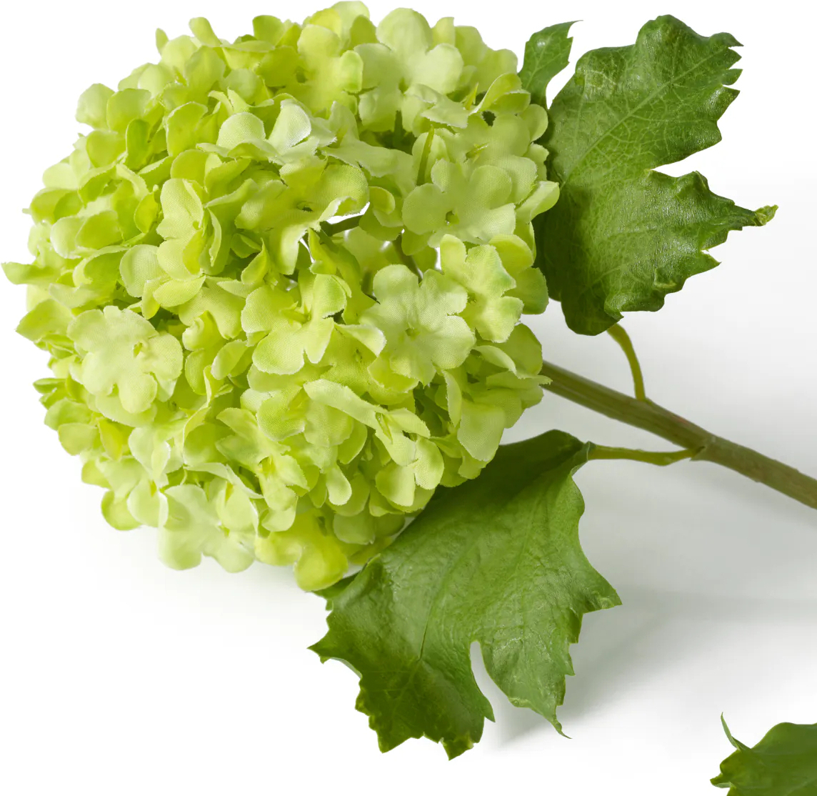 Букет из гортензий SNOWBALL REAL TOUCH 36 шт искусственные «Снежный ком» Eichholtz 119294