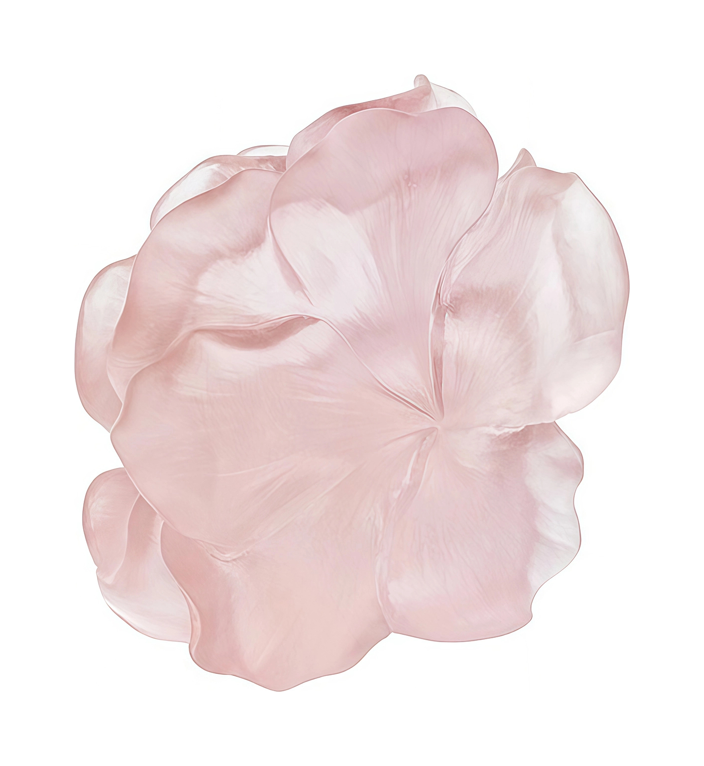Статуэтка CAMELIA Цветок 8 см хрусталь розовый Daum 05740-1