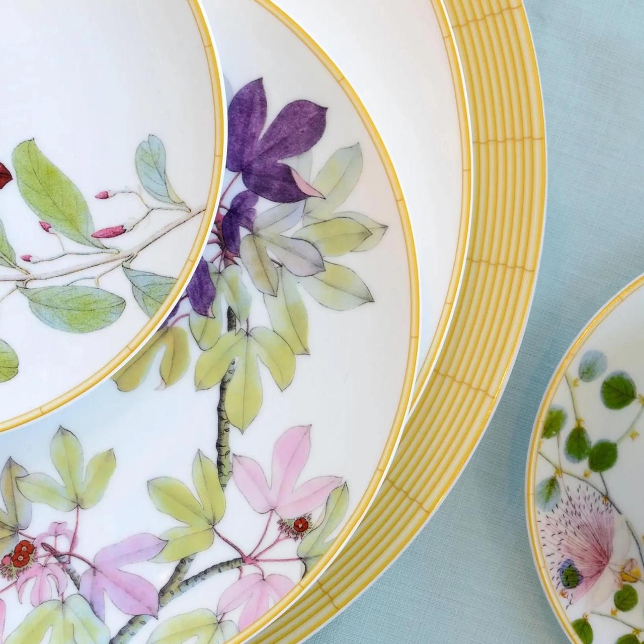 Тарелка подстановочная JARDIN INDIEN 32 см фарфор Bernardaud 0488/6189