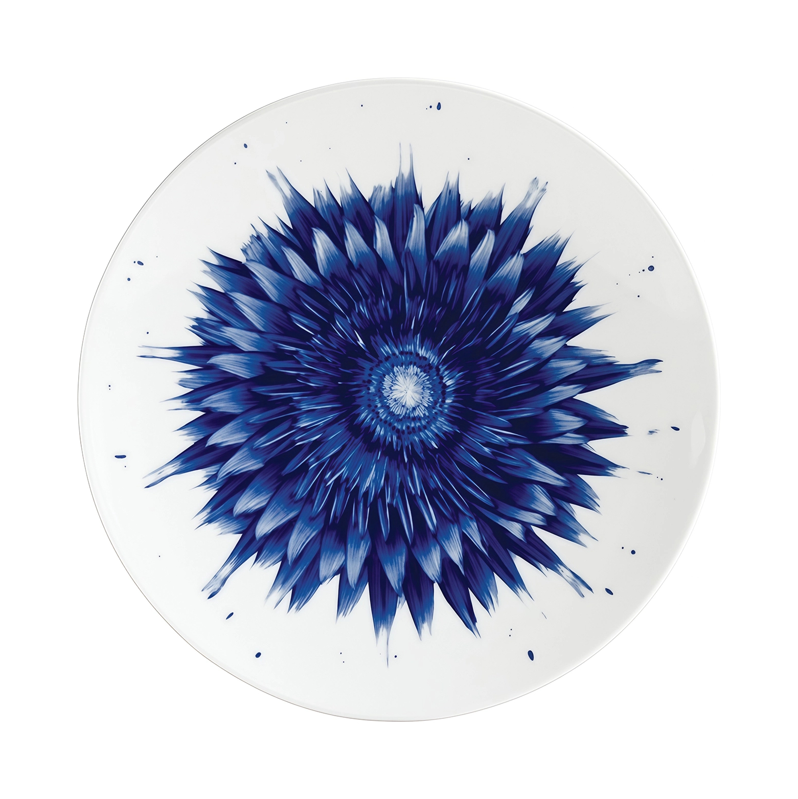 Набор салатных тарелок IN BLOOM 6 шт фарфор бело-синий Bernardaud 1768/22457