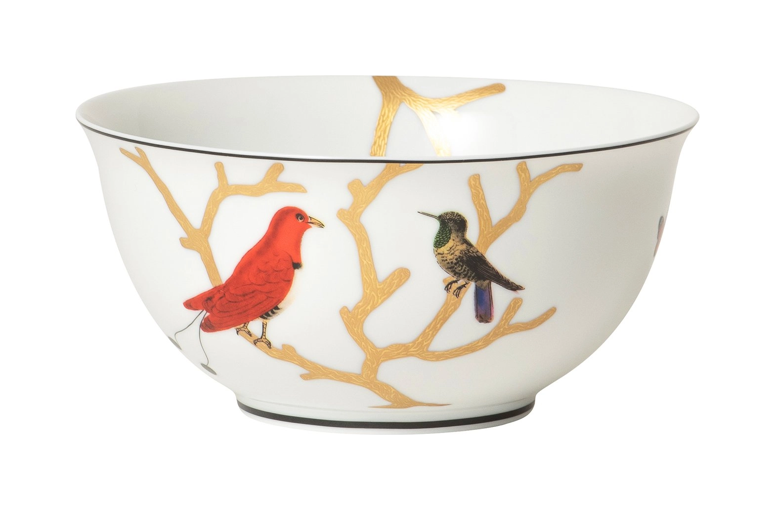Чаша AUX OISEAUX для лапши 16.8 см фарфор
