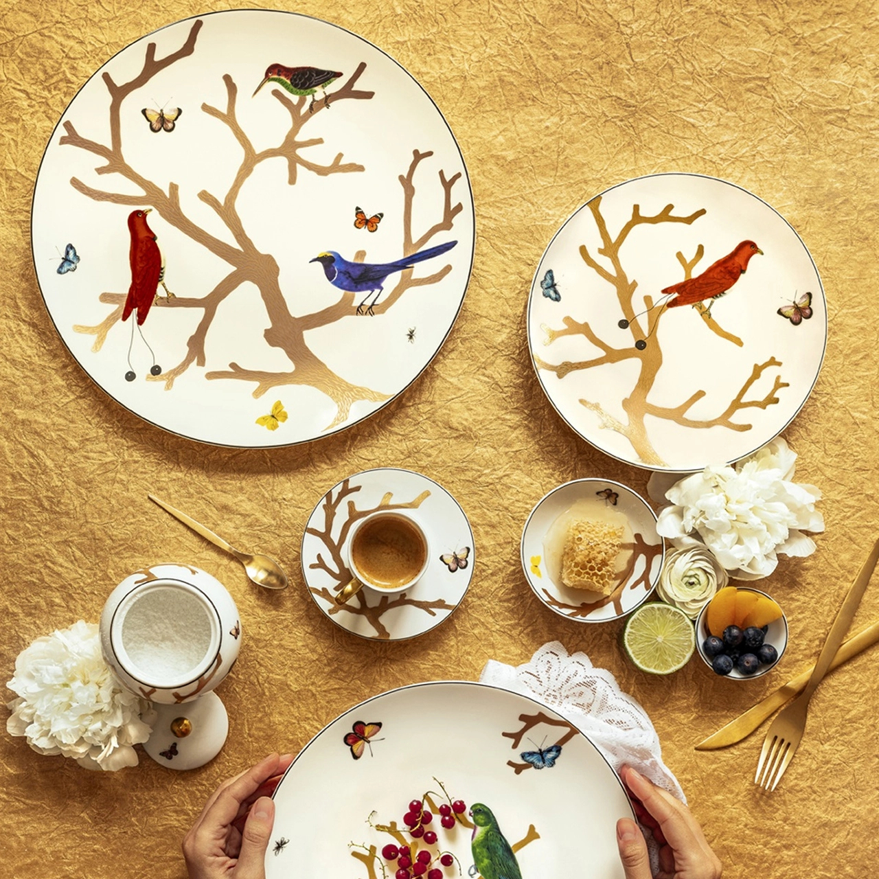 Тарелка подстановочная AUX OISEAUX 31 см фарфор Bernardaud 2488/21429